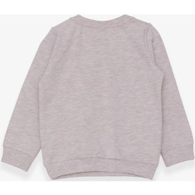 Resim Breeze Kız Çocuk Sweatshirt Hayvancık Baskılı 1.5-5 Yaş, Bej Mela (553858199) Çok Renkli 