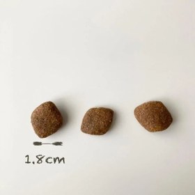 Resim Reflex Plus Biftekli High Energy Yetişkin Köpek Maması 3 Kg 