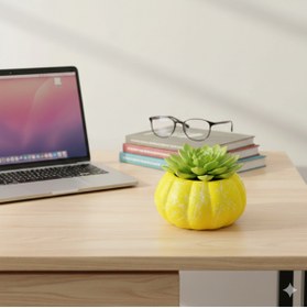 Resim Alba Home Decor Balkabağı sukulent kaktüs arajman saksı 