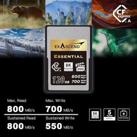 Resim Exascend 480GB Essential CFexpress Tip A Hafıza Kartı 