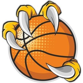 Resim Basketbol Topu Kartal Pençe Nba Çıkartma Spor Sticker 01018 
