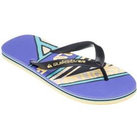 Resim Quiksilver Molokai Screen Erkek Terlik ERKEK TERLİK AQYL101427 