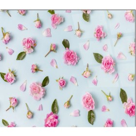 Resim Olinpa Cam Ocak Arkası Koruyucu | Çiçek Desenli 