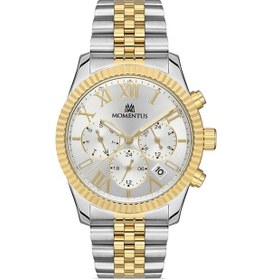 Resim Momentus Cw128t-02sg Erkek Kol Saati Gri 