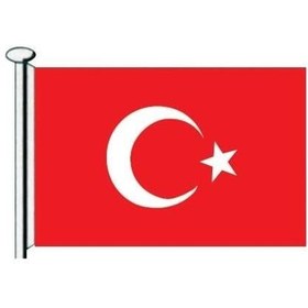 Resim Saray Türk Bayrağı 60X90 