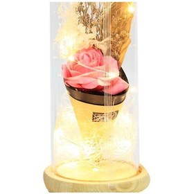 Resim Fanus Gül 28/12Cm Cam Fanus Led Işıklı Hediyelik (547906772) 