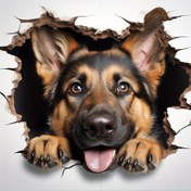 Resim 4'ü 1 Arada Dinlenen Alman Çoban Köpeği Sticker, Duvarlar, Buzdolapları, Tuvaletler vb. İçin - Sevimli Alman Çoban Köpeği Alsace Sticker 