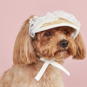 Resim Pet Bow Tie Dantel Hasır Şapka - Sadece Elde Yıkanabilir, Yaz, İlkbahar, Sonbahar, Orta, Küçük, Mini ve Oyuncak Irkları, Dokuma, Polyester Kompozisyon, Bağcıklı Ana Giyim Yöntemi 