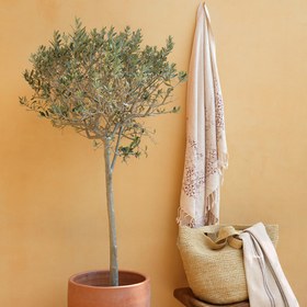 Resim Tripolis Keten Peştemal - 90x170 cm / Antik Mor 