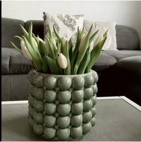 Resim MİNİBAHÇE3D Balon saksı sukulentt jkaktüs 