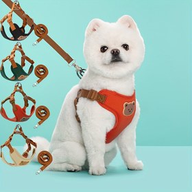 Resim Tek Renk Ayı Tasarımı Köpek Tasma ve Kemer, Pil Olmadan 