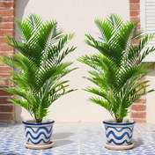 Resim 2 adet Büyük Gerçekçi Tropikal Palm Yapay Bitkiler - Taze Yeşil Yapraklarla, İç/Dış Mekan Bahçelerini, Verandaları, Havuz Yanlarını, Festivalleri (Noel, Şükran Günü, Cadılar Bayramı, Palm Ağacı Festivali, İşçi Bayramı) Güzellemek İçin Uygun - Bakımı Gerektirmez, Pot Dahil Değil, Tatil Dekorasyonu, Yüksek Kaliteli Sahte Bitkiler 