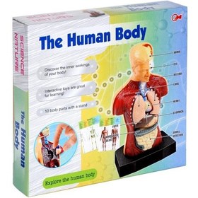 Resim Human Body - Vücut Maketli Eğitici Oyuncak Doktor Seti 