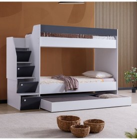 Resim Ranza, Martin Yavrulu Ranza - Antrasit 240 CM 