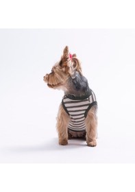 Resim Palm Embroline Tişört Kedi Köpek Tişörtü-kedi Köpek Kıyafeti 