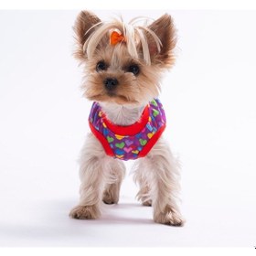 Resim Hearts Tişört Kedi Köpek Tişörtü-kedi Köpek Kıyafeti 