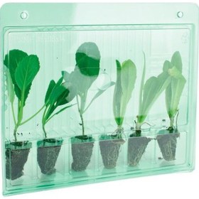 Resim Plastik Bitki Taşıma Kabı 5 Adet 