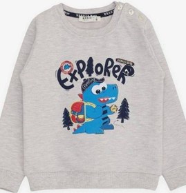 Resim Breeze Erkek Çocuk Explorer Yazılı Dinazor Baskılı Sweatshirt-14677 Gri 
