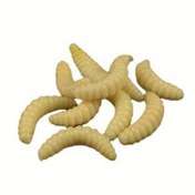 Resim 1 Düzine Kauçuk Kurbağa Yemi (12 adet), Alabalık, Crappie, Pan Balığı, Bluegill için Toplu Balıkçılık Grubları, Tatlı Su Balıkçılık Yem Seti (Kancalar ve Solucanlar) 