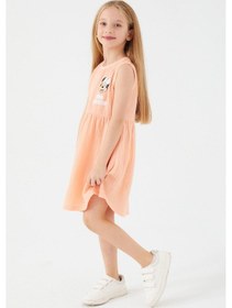 Resim Minnie Mouse D4776-3 Çocuk Somon Gecelik 