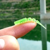 Resim 10 adet Yüzen Yumuşak Yem, 4cm/1.57 inç 0.25g İğne Kuyruklu Yüzme Yemi, Balıkçılık Aksesuarları, Yüzen Kök Balıkçılığı Çoklu Ekli Yumuşak Yemler 