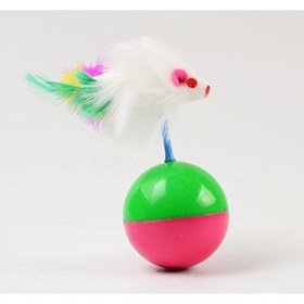 Resim Evimdeyokyok Kedi Oyun Topu Fareli Hacı Yatmaz 