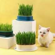 Resim (Tohum Olmadan) Kedi Çimi Dikim Kutusu, Hidroponik Dikim Kutusu, Bahçe Tohum Çimlendirme Tepsisi, Tohum Çimlendirme Tepsileri Seti 
