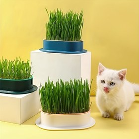 Resim (Tohum Olmadan) Kedi Çimi Dikim Kutusu, Hidroponik Dikim Kutusu, Bahçe Tohum Çimlendirme Tepsisi, Tohum Çimlendirme Tepsileri Seti 