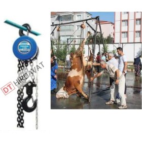 Resim Özbience 5 mt Zincirli Caraskal, 2 Ton Kapasiteli, 6 mm Kalınlık 