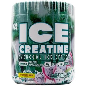 Resim Fa Ice Creatine 300 G 