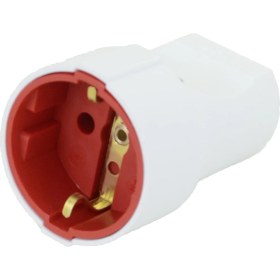 Resim Ay-Ka Topraklı Dişi Fiş 