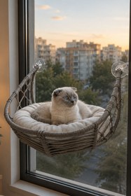 Resim Reyo Lüxperi Hilal Kedi Cam Yatağı & Vantuzlu Cam Yatağı & Kedi Pencere Yatağı Açık Gri 