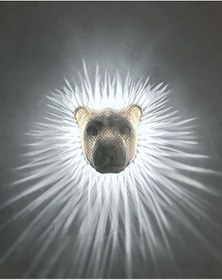 Resim Aslan Gece Lambası Beyaz 