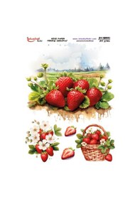 Resim Pirinç Dekopaj Kağıdı 30x42cm Pt-3761 