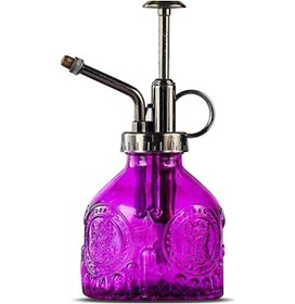 Resim Reedark Retro Cam Bitki Spreyleri İçin Şık Cam Sulama Şişesi, 200ml Kapasiteli, Ev Ve Ofis Temizliği İdeal 