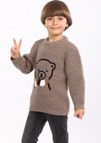 Resim Cloudy Kids Erkek Çocuk Bisiklet Yaka Ayıcık Nakışlı Triko Kazak 