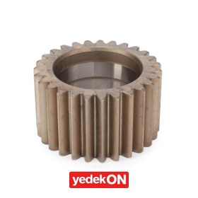 Resim AGCO Gezegen Dişlisi - Fendt | F712301020240 