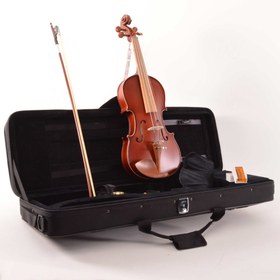 Resim Dominguez DVR44CRGM Gül Keman (4/4 Mat) | Tam Boy Mat Finish Sıcak Tonlar 