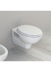 Resim Turkuaz Lila Yavaş Kapanır Pp Klozet Kapağı 