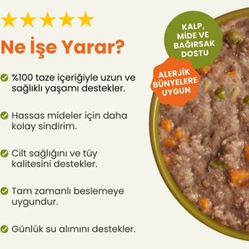 Resim Kuzu Etli Yetişkin Köpek Maması 2,5 Kg + 6 Adet Kito Fresh Somon Etli %100 Taze İçerikli Mama 