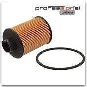 Resim Opel Antara 2.0 Cdtı Yakıt Filtresi 2007-2012 