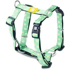 Resim Max Molly Margarite Desenli Köpek Göğüs Tasması (Small) 