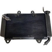 Resim hunermotor Bajaj Rs 200 Radyatör Orjinal 