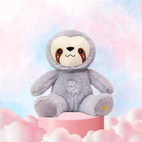 Resim Nefes Alan Uyku Arkadaşı Tembel Hayvan 