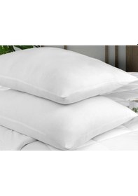 Resim 2 Adet Silikon Yastık 1000 Gr 