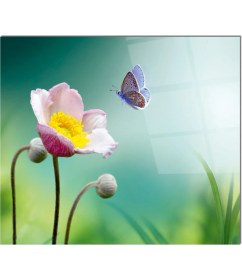 Resim Cam Ocak Arkası Koruyucu Ankastre Arkası Koruyucu | Kelebek 