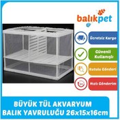 Resim Çok Büyük Tül Balık Yavruluğu Akvaryum Yavruluk 26x15x16cm 