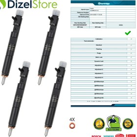 Resim 4X EJBR02101Z Delphi Enjektör Dacia Renault Clio Kangoo Logan 1.5 dCi 28232242 - 4X 