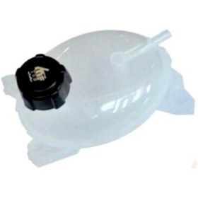 Resim Motor Yedek Su Bidonu Renault Clio 5-217108864R 