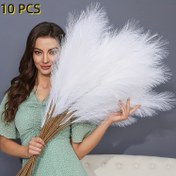 Resim SHARKBEE 10 Paket Pampas Çim Yapay Çiçekler - Ev Dekoru, Düğün, Nişan, Masaüstü için Polyester Sahte Pampas - Çok Yönlü Oda Estetiği, Vazo Dolu, Bohem Tarzı Sahte Bitkiler Paskalya, Ramazan, Babalar ve Anneler Günü, Sevgililer Günü için 